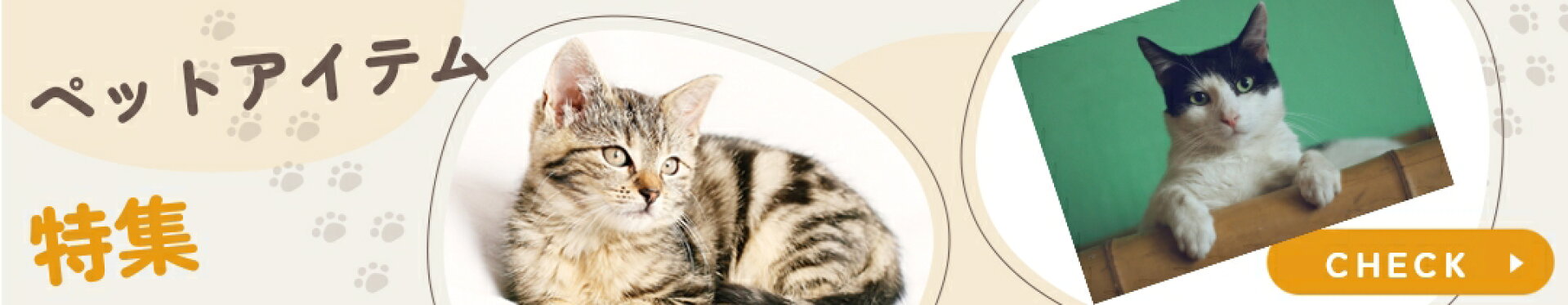 猫用品