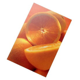 アウトレット SALE セール ポストカード【フルーツ】 オレンジ1