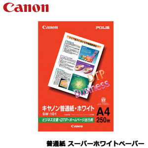 Lm@SW-101A4 [ʎ X[p[zCgy[p[ A4 250]