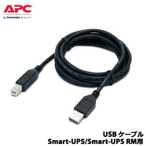 APC@AP98117J [Smart-UPS/Smart-UPS RMp USBP[u]