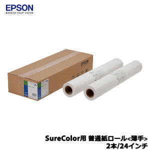 �G�v�\�� EPPP6424 [SureColor�p ���ʎ����[�� ����/2�{/24�C���`]