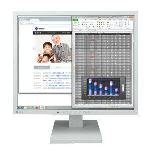 �i�i�I�iEIZO�j FlexScan S1934-TGY [19�^�J���[�t�����j�^�[ S1934 �Z���[���O���C]
