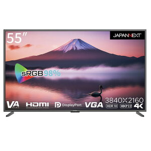 sJAPANNEXT JN-V5500UHDR-N [4K 55C`tfBXvC VApl  DP/HDMI/VGA PCj^[]