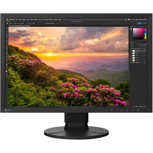 iiIiEIZOj ColorEdge CS2400S-BK [tfBXvC 24.1^/1920×1200/ubN]