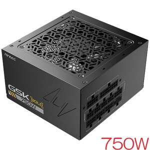 ANTEC GSK750 ATX3.1 [ATX3.1d 80PLUS GOLDF GSK 750W]