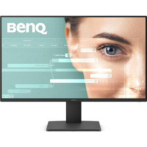 BenQ LCD GW2491 [ACPAfBXvC 23.8^/1920×1080/ubN]