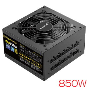 Segotep GM850W ATX3.1+PCI-E 5.1 [ATX 12V 3.1d 80PLUS GOLDF 850W]