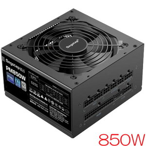 Segotep PM850W Black [ATX 12V 3.1d 80PLUS PLATINUMF 850W]