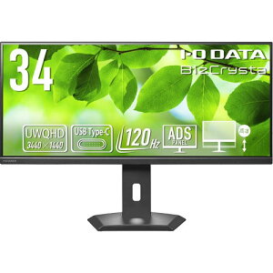 �t���f�B�X�v���C �A�C�E�I�[�E�f�[�^ LCD-CWQ341SDB-F [�t���f�B�X�v���C 34�^/USB-C/21:9/UWQHD]