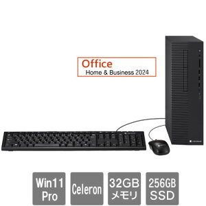 Dynabook A613KYVGL55A [dynaDesk DT200/Y(Celeron G6900 32GB SSD256GB SM Win11Pro24H2 H&B2024)]