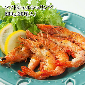 \tgVFVv 500g (30) K[bNVv CVpX^  CV} A{Jha gN pGAEX` o^[\e[ BBQ 芪i Ⓚ yVLO1