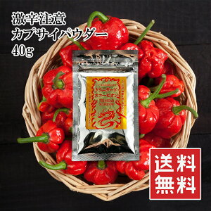 [  gj_[hEXR[s 40g h JvTCV pE_[  Q[Ȃǂɂ͎gȂ ql̎̓͂ȂƂɕۊ  h} 퉷