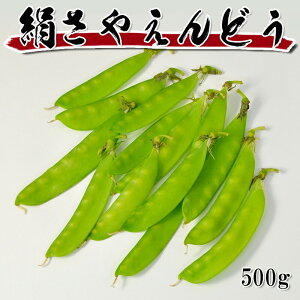[ǂł5iő] ʂ 500g Jbg Ⓚ e ƖpTCY