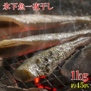 こま 魚介加工品の人気商品 通販 価格比較 価格 Com こま 魚介加工品の人気商品 通販 価格比較 価格 Com