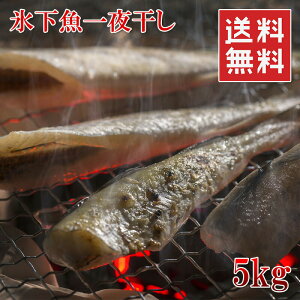 干物 魚介加工品の人気商品 通販 価格比較 価格 Com