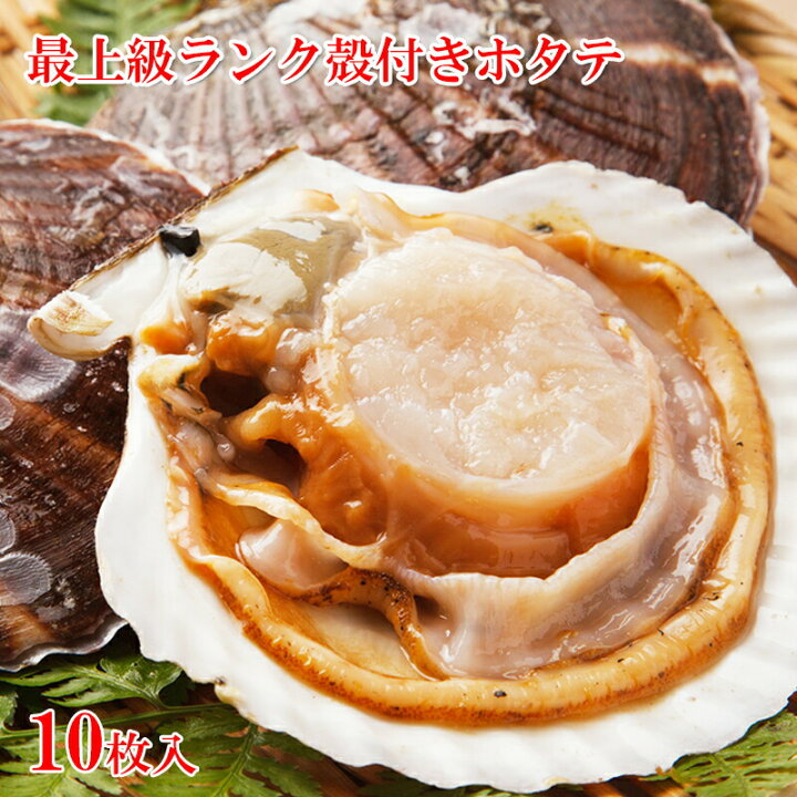 楽天市場 どれでも5品で送料無料 ホタテ 殻付き 10枚入 Bbqの必需品 帆立グラタンは絶品 冷凍 だから好きなときに好きなだけお使いいただけます 冷凍 うまいもんグルメ卸売直販えつすい
