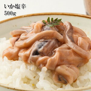 [ǂł5iő] h Y ^CJ̉h 500g }CJ̃CJ^|݂łd񂾒 񂪃K`Rōt r[̂ɂǂ Ղe p 