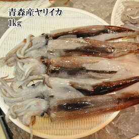 楽天市場 イカ イカの種 しゅ アオリイカ 魚介類 水産加工品 食品 の通販