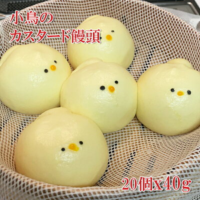 楽天市場 可愛い小鳥のカスタード饅頭 まんじゅう 800g 個入 冷凍 どれでも5商品以上購入で送料無料 一部地域除く ホワイトデー うまいもんグルメ卸売直販えつすい