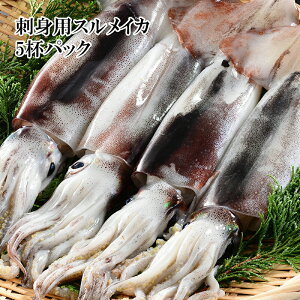イカ タコ スルメイカ 冷凍の人気商品 通販 価格比較 価格 Com