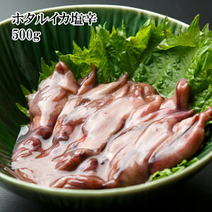 [ǂł5iő] ɌY z^CJ h 500g 100t Y N i  ՂI nO 񂹃O h ܂ ̍ ̓ hV