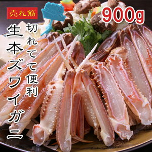 [ǂł5iő] YCKj 900gyyV1ʁzJbgς kt r g9  ĂKj o` Ⓚ Mtg ̓ ̓ NNn v[g pTɂy悠z