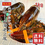 【楽天1位】オマール海老 1kg 2尾/3尾 カナダ産 ホール 冷凍 わけあり 大型 ロブスター BBQ グリル用【動…