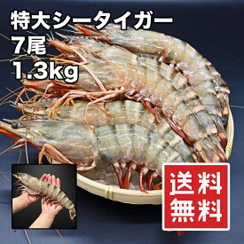 [どれでも5品で送料無料] 特大 シータイガー 30cm 7尾【動画あり】1.3kg ジャンボサイズ ドデカ バーベキュー グリル焼き エビフライ 何をしても 超特大 超最高 えび 海老 ご当地グルメ お取り寄せグルメ BBQ 誕生日 父の日 プレゼント ギフト あす楽 送料無料 冷凍★