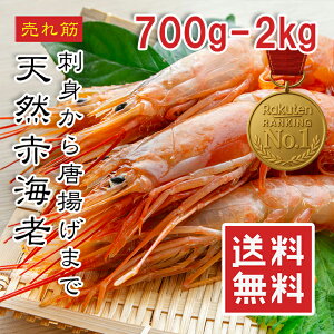 yyV1ʁzVRԊCV 700g/2kg hgp HOK ^TCY Ⓚ ԃGr CV  K[bNVv pX^ BBQ il^ yΉy悠z