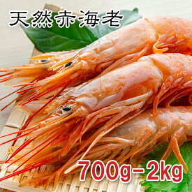 【楽天1位】天然赤海老 700g/2kg 刺身用 生食OK 大型サイズ 冷凍 赤エビ 生海老 生えび ガーリックシュリンプ パスタ BBQ 寿司ネタ あす楽対応【動画あり】送料無料★