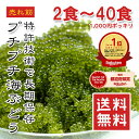 【楽天1位】海ぶどう 2食〜40食 常温保存 選べるサイズ 食べ切りパック ご当地グルメ 1000円ポッキリ 塩漬け特許技術 …