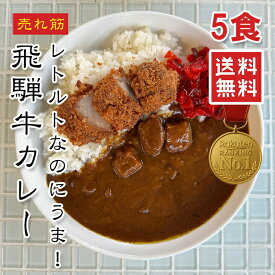 【楽天1位】飛騨牛カレー 200g×5食セット（計1kg）｜ゴロゴロ和牛入り本格中辛レトルト！湯煎・電子レンジOK 手軽に本格派の味わい ピリ辛・深い旨み 常温保存 2000円 ポッキリ 【メール便 送料無料】【動画あり】★