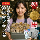 【2セット目 半額】牡蠣 カンカン焼き【楽天1位】セット 殻付き 大粒 20個入 BBQ 海鮮 バーベキュー ギフト 父の日 一斗缶 半斗缶 ガンガン焼き 送料無料 冷凍 【動画あり】★