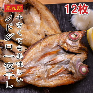 [ǂł5iő] ̂ǂJ 420gi11`14jyyV1ʁzRAY̍ ĂȒPÎ蔲QґȖ킢 т̂E̍Ɂ MtgEhV̓E̓E