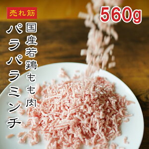 [ǂł5iő] Y{pp~` 560gyyV1ʁzⓀ {~` o g₷ ֗ ⓀXgbN wV[ Z AW ٓ y悠z
