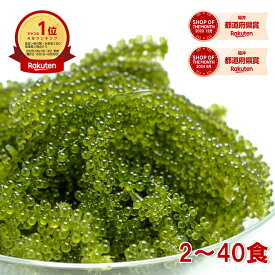【楽天1位】海ぶどう 2食〜40食 常温保存 選べるサイズ 食べ切りパック ご当地グルメ 1000円ポッキリ 塩漬け特許技術 増える 賞味期限長い 海藻 無添加 無着色 お取り寄せ 贈り物 海ぶどう おつまみ ギフト 島らっきょう 海ブドウ 売れ筋 メール便送料無料 【動画あり】