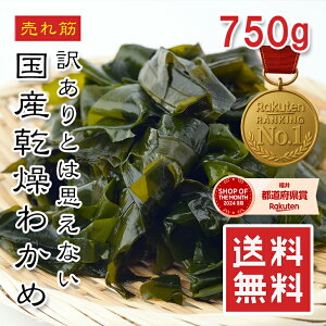 yyV1ʁz󂠂 Y 킩 750gy悠zY Wbvܓ ː T_EX`E˗ށEт Vs A`GCWO H@ہE~lLx [֔z 