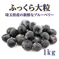 【楽天1位】国産 冷凍ブルーベリー 1kg 無添加 大粒 バラ凍結 残留農薬検査済み 冷凍フルーツ スムージー…