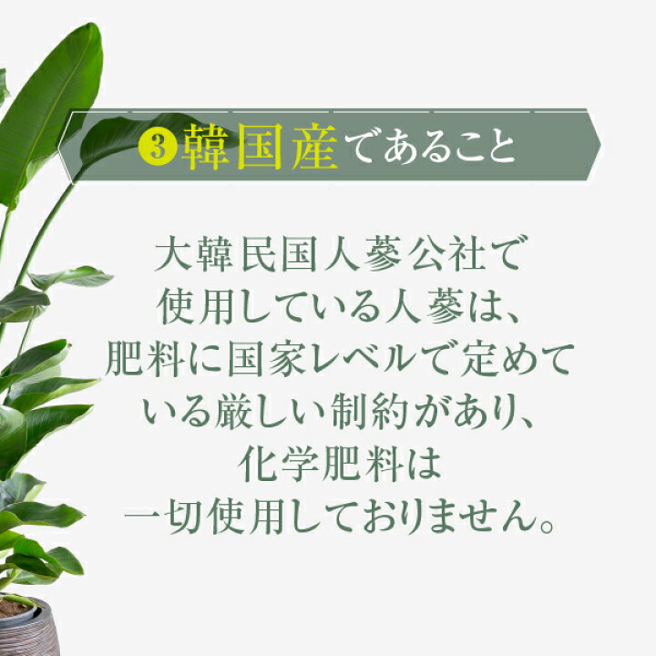 楽天市場】【第3類医薬品】大木製薬 正官庄 紅蔘粉カプセル 300カプセル×3箱 送料無料 せいかんしょう 高麗人参 朝鮮人参 紅参 虚弱体質 肉体疲労 病中病後 胃腸虚弱 食欲不振 血色不良 冷え性 発育期 : とやまのくすり 越中富山の元気堂 楽天市場】【第3類医薬品】大木製薬 正官庄 紅蔘粉カプセル 300カプセル×3箱 送料無料 せいかんしょう 高麗人参 朝鮮人参 紅参 虚弱体質 肉体疲労 病中病後 胃腸虚弱 食欲不振 血色不良 冷え性 発育期 : とやまのくすり 越中富山の元気堂