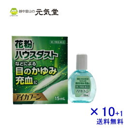 楽天市場 ブタクサ 花粉 薬の通販