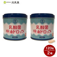 乳酸菌肝油ドロップ 120g（1粒1g×120粒）2個セット 西海製薬株式会社 肝油 乳酸菌 ビタミンA ビタミンD …