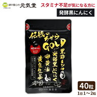 【 期間限定 半額 楽天スーパーSALE 】伝統のちから ゴールド 40粒 黒酢 もろみ 黒にんにく 発酵黒にんに…