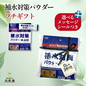 【P5倍＆まとめ買いクーポン 配布中】 【 ギフト ラッピング込み】補水対策 パウダー W-AID ダブルエイド 5g 10包 ～30包 五洲薬品 プチギフト お配りギフト 粉末清涼飲料 パウダー 粉 粉末 濃度調整 夏 水分補給 電解質補給