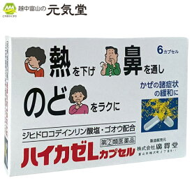 【第(2)類医薬品】ハイカゼLカプセル 6カプセル 置き薬 配置薬 常備薬 富山 広貫堂 廣貫堂 ※こちらの商品はお一人様1箱限りとなります