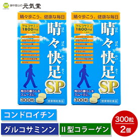 晴々快足SP 300粒 2個セット 広貫堂 廣貫堂 グルコサミン コンドロイチン コラーゲン MSM メチルスルフォニルメタン ヒアルロン酸 健康食品 サプリ サプリメント 贈り物 ギフト プレゼント