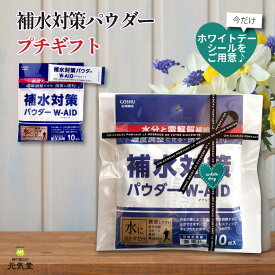 【11％OFFクーポン配布！2/11まで】【 ギフトに 】補水対策 パウダー W-AID ダブルエイド 5g 10包 ～30包 五洲薬品 ギフト ラッピング込み プチギフト お配りギフト 粉末清涼飲料 パウダー 粉 粉末 濃度調整 冬 乾燥 水分補給 電解質補給 お年賀 贈り物