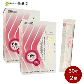 【最大2,000円OFF★月末クーポン配布3/31(日)まで】潤歩美（じゅんあゆみ）10g×30本 2箱セット 常盤薬品工業