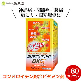 【4/18(木)限定18％OFFクーポン配布】【第3類医薬品】ポリアニンコンドロDXα 160カプセル 神経痛 筋肉痛 関節痛 腰痛 肩こり 五十肩 手足のしびれ 便秘 眼精疲労 富山めぐみ製薬 富山