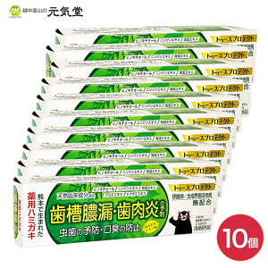 y򕔊OizgD[XveNg 100g10Zbg p݂͂ p pn~KL Mtg bsO 蕨 Mtg v[g