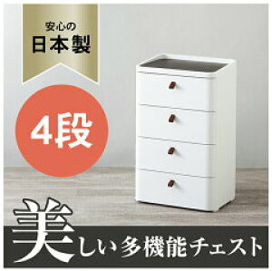 �y���������z�������̂���v���X�`�b�N���`�F�X�g���C�����h���A�[ 544 4�i RD-544WH���S�݌v �@�E�b�h�g�b�v�@ �z���C�g�@�z�R���h�~